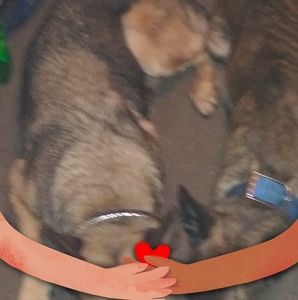 Meet your Posher, Tim